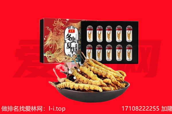广汉市回收虫草.jpg